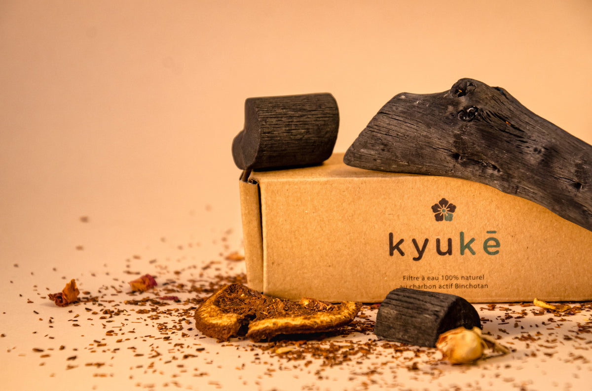Lot de petits morceaux de charbon Binchotan par Kyuké