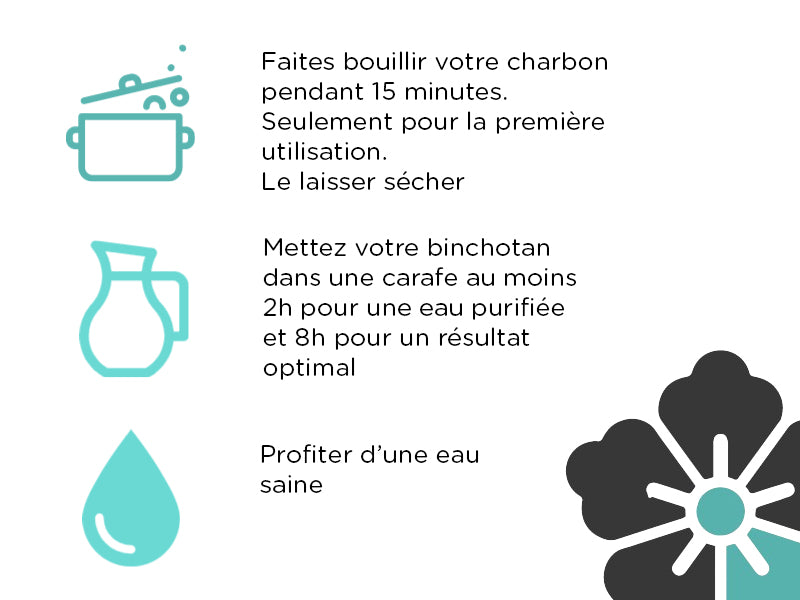 Charbon Actif Eau (2 Pièces) - Binchotan 100% naturel Purificateur d'eau -  Filtre à Eau Ecololgique qui Purifie l'Eau du Robinet Carafe Gourde  Bouteille - EFFICACITE GARANTIE : : Cuisine et Maison